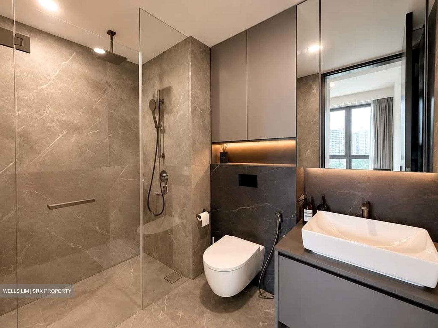 Irwell Hill Residences (D9), Apartment #592617901